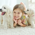 names of pet animals in english for kids