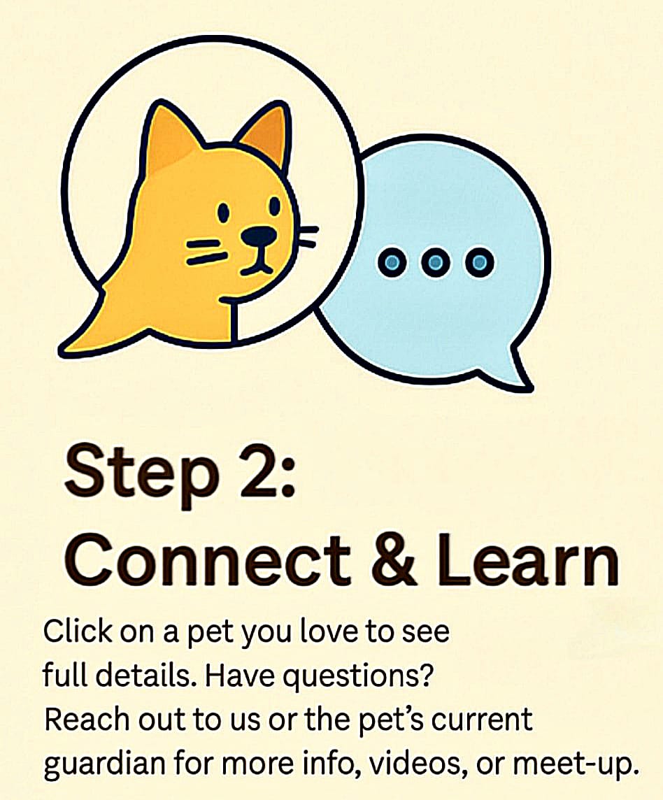 whatsapp image 2025 07 31 at 23.12.41 ab4ae09c