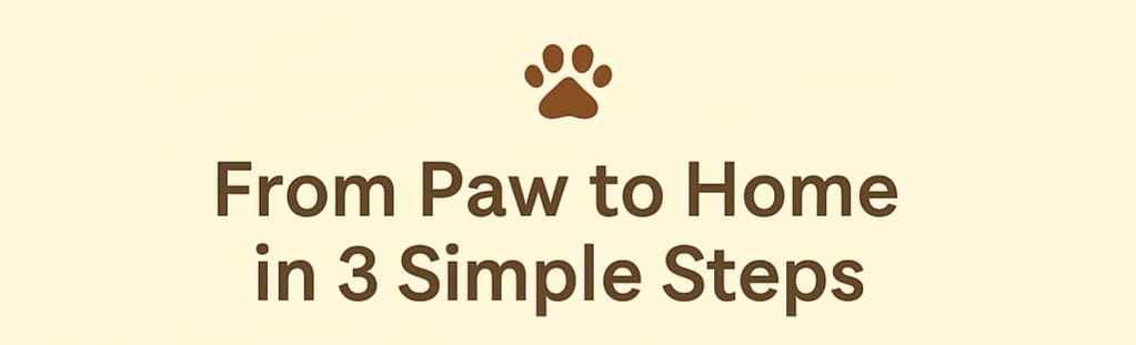 whatsapp image 2025 07 31 at 23.18.07 81640bca