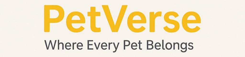 whatsapp image 2025 07 31 at 23.18.40 2f288669