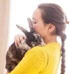 training your rabbit to enjoy human company