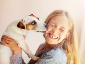 Why Dogs Lick Their Owners 300x225