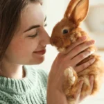 young woman adorable rabbit indoors 600nw 1796766511